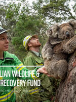 Australia Bushfire Fund Report Update - January 2021 Brochure
