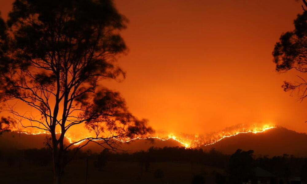 Devastadores incendios forestales en Australia | Historias | Descubre WWF