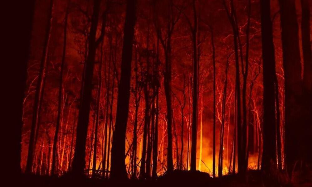 Australian bushfire in Bowraville NSW