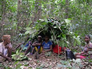 A group of Ba'Aka people gather in one of their forest hunting camps