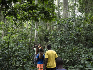 Five Ba'Aka people walk through the forest in the Central African Republic