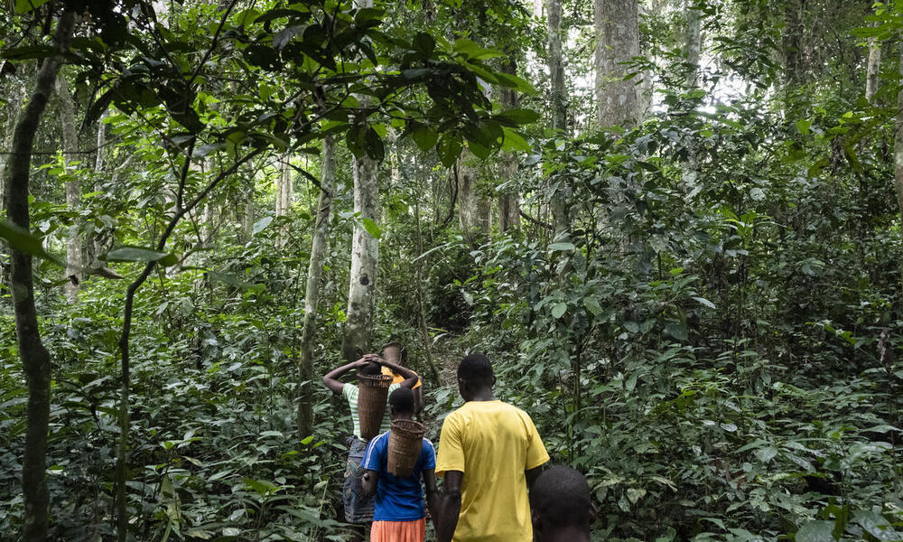 Five Ba'Aka people walk through the forest in the Central African Republic