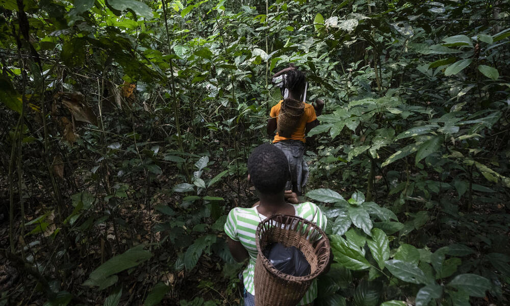 A group of Ba'Aka people walking into the forest