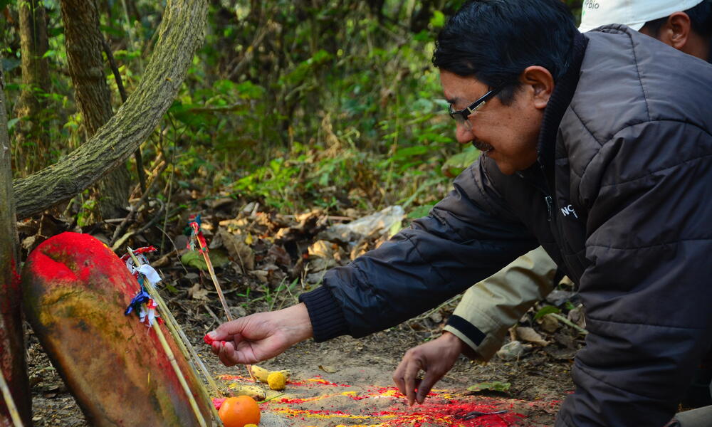 A man kneels down on the ground in the forest to place red powder on a stone