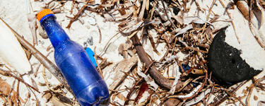 Blue plastic bottle laying on the sand of a beach with other natural debris surrounding it
