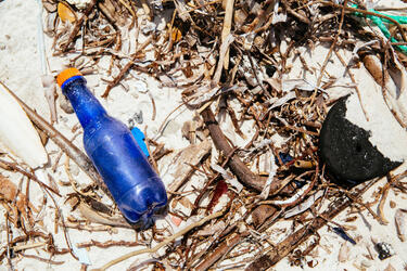 Blue plastic bottle laying on the sand of a beach with other natural debris surrounding it