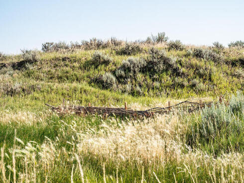 A beaver dam analog is set back in a grassy hill on a sunny day 