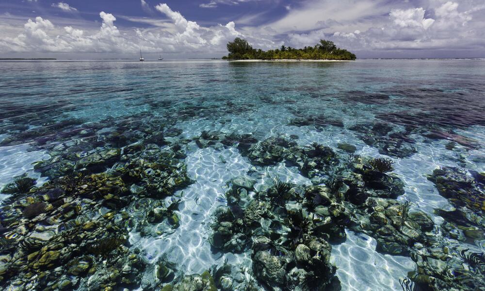 Coral Reefs: A Unique Natural Resource