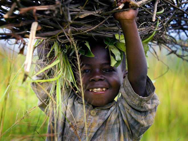 A young boy carrying firewood that he has collected to sell in the market near the provincial capital of Goma, in the Democratic Republic of Congo.