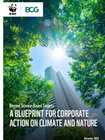 Beyond Science-Based Targets: A Blueprint For Corporate Action On Climate And Nature Brochure