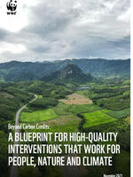 Beyond Carbon Credits: A Blueprint For High-quality Interventions That Work For People, Nature And Climate Brochure