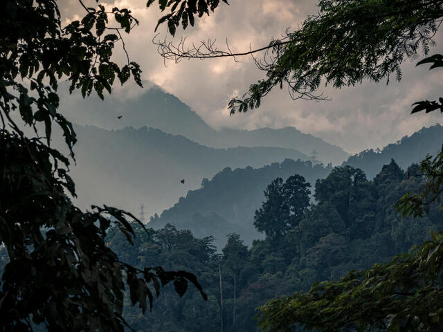 Shadowy mountains of Bhutan