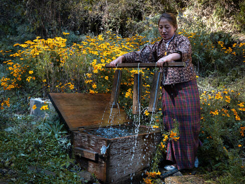A woman at an outdoor water machine among yellow flowers