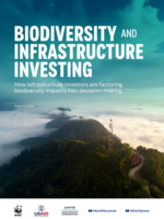 Biodiversity and Infrastructure Investing: How Infrastructure Investors Are Factoring Biodiversity Impacts Into Decision-Making  Brochure