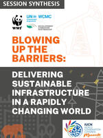 Blowing up the Barriers: Delivering Sustainable Infrastructure in a Rapidly Changing World Brochure