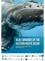 Blue Corridors of the Eastern Pacific Ocean Brochure