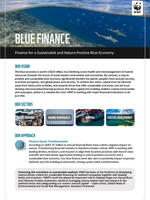 Blue Financial Markets - Finance Sector Transformation Brochure