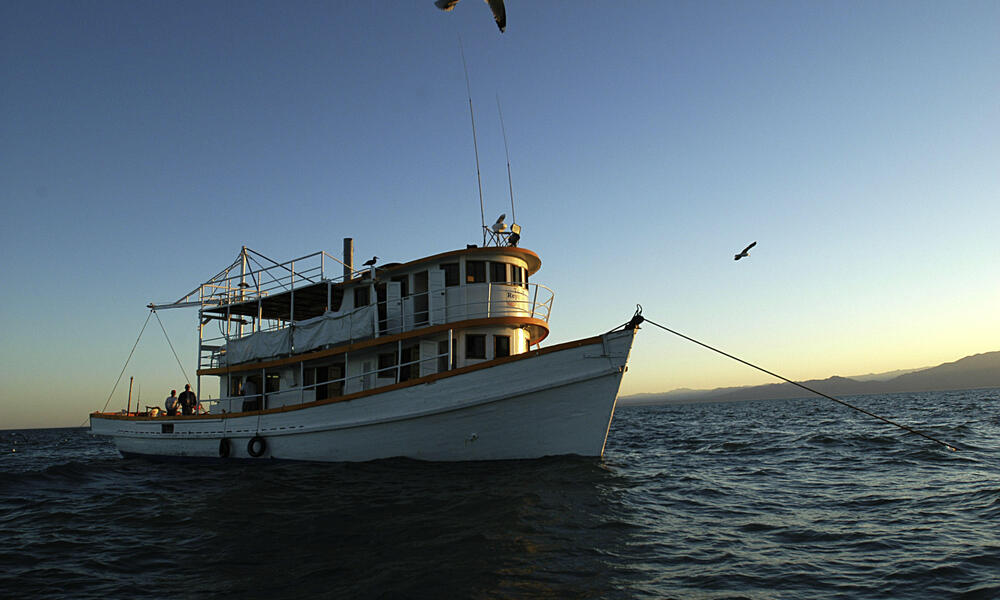 Gulf of California, Mexico