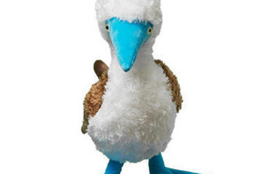 The Galapagos Islands Places WWF