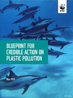 Blueprint for Credible Action on Plastic Pollution Brochure
