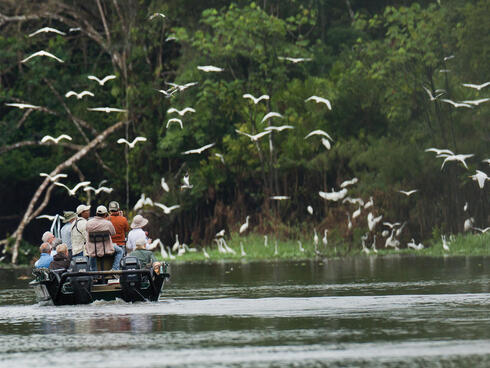 People on boat watching birds