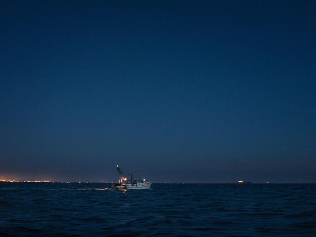Shrimpers work the waters off the Texas coast
