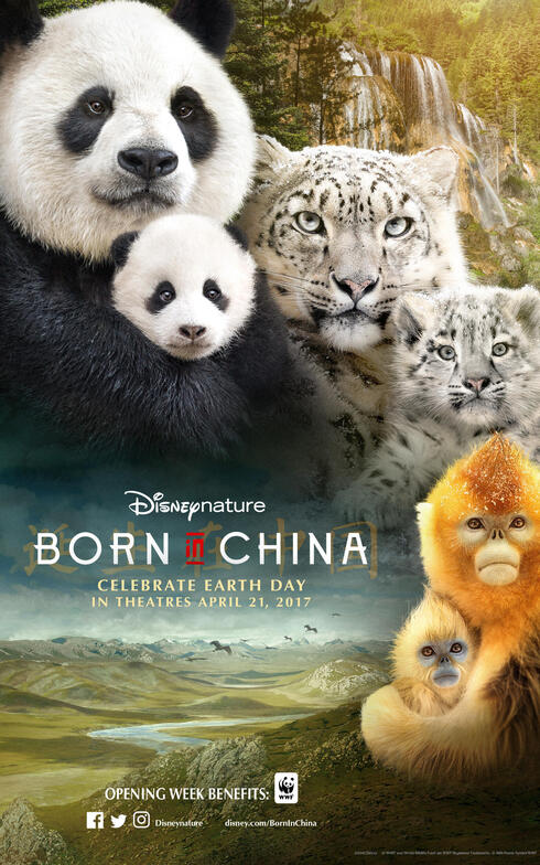 Disneynature's Born in China movie poster