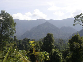 Borneo and Sumatra