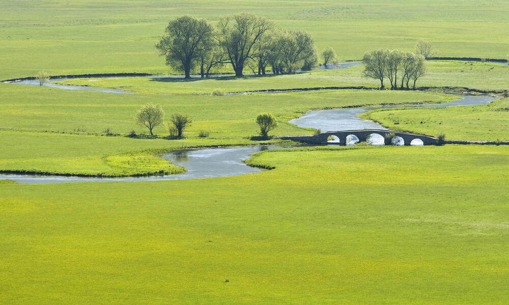 River in a grassland area, spanned by a roman bridge, Bosnia and Herzegovina