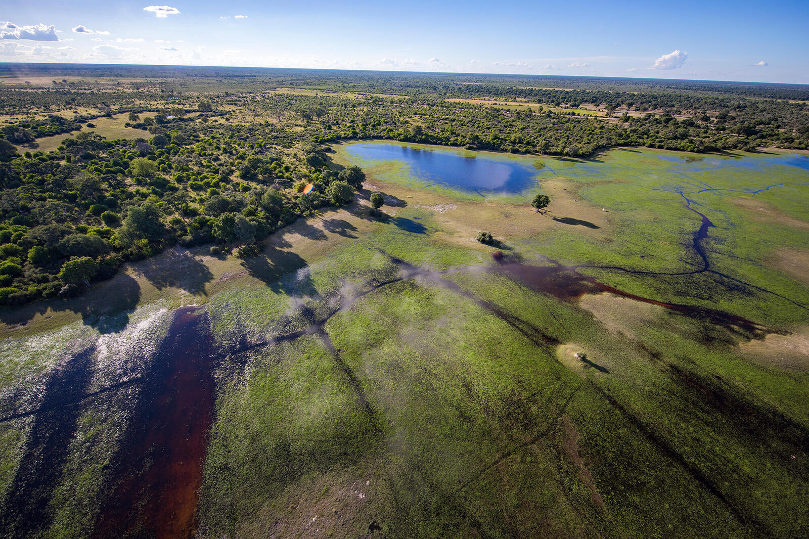 Aerial landscape showing grass, trees, and water