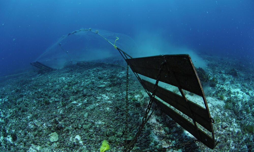 We've been gearing up with new nets for deep hole shrimping for