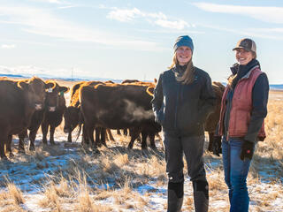 Two women stand on prairie with cattle herd