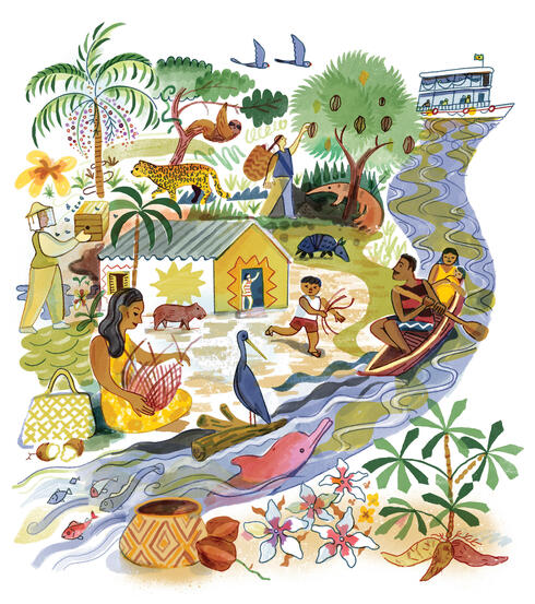 A watercolor collage of the animals, people, and environment of Brazil