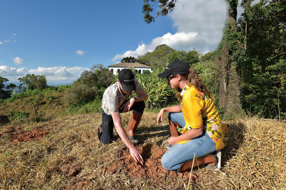 The future of habitat restoration: the Atlantic Forest way