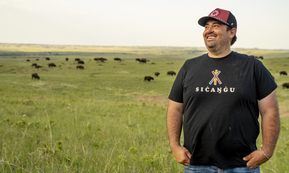 Wolakota Buffalo Ranger Bud Colombe stands before bison in the distance