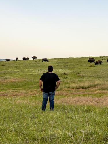 Bud Colmbe stands in front of field of bison on Wolakota Buffalo Range