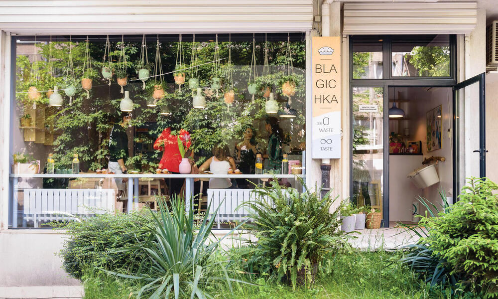 Bulgaria restaurant window with hanging plants