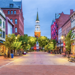 a brick paved street lined with trees and buildings