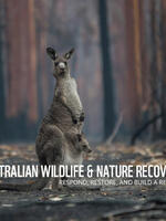 Australia Bushfire Fund Final Report Brochure