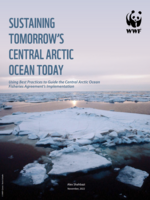 Sustaining Tomorrow's Central Arctic Ocean Today Brochure