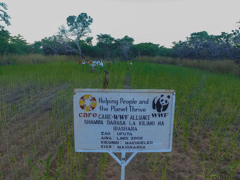 A sign indicates a CARE-WWF Alliance demonstration plot