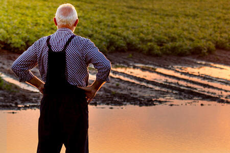Man in overalls looks at flooded field
