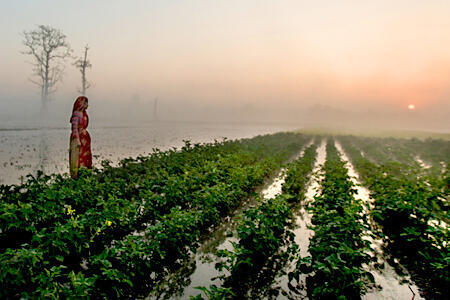 A woman stands at the edge of a waterlogged field