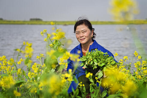 Liu Ailan, a carp farmer near Honghu, uses grasses and other local plants to feed her fish. 