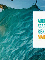 Case for action: Addressing Seafood Sector Risk in Financial Markets Brochure