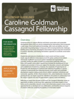 2024 Cassagnol Fellowship Guidelines Brochure