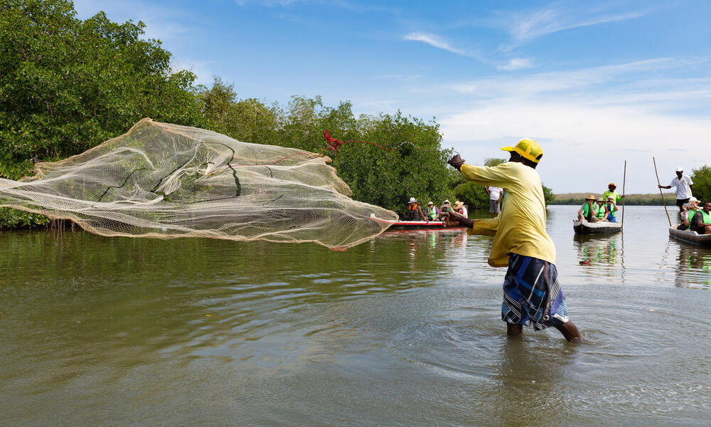 A man casts a fishing net into mangroves in Colombia