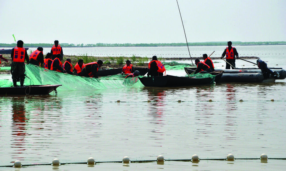 The team catches a finless porpoise in Poyang Lake. 