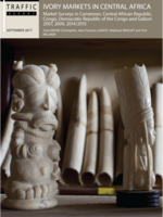 Elephant Ivory Markets in Central Africa Brochure