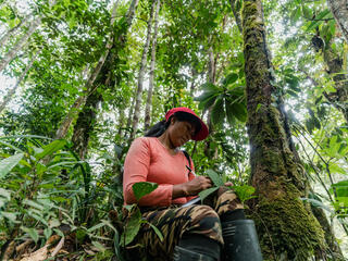 Chela Umire makes notes during a forest assessment